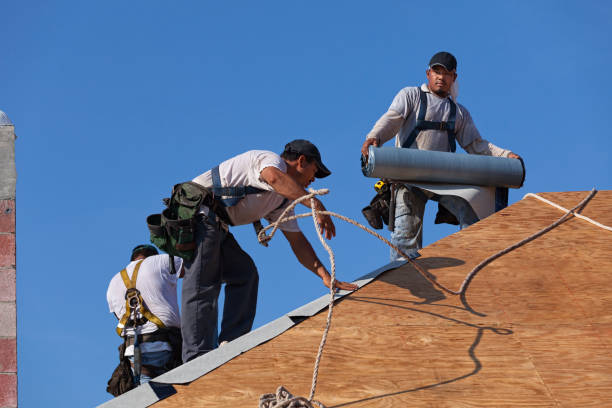 Best Roof Repair Services  in Port Angeles East, WA